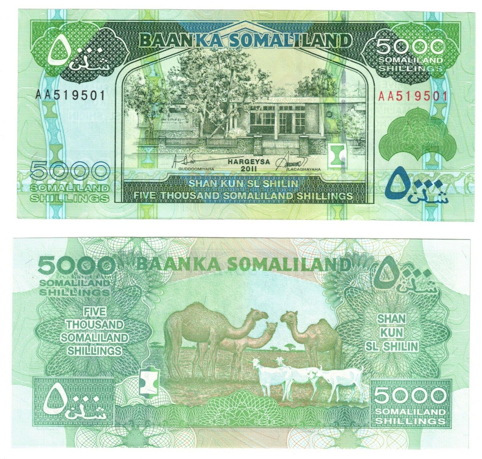 2011 Somaliland Banknote 5000 Shillings P21a Unc