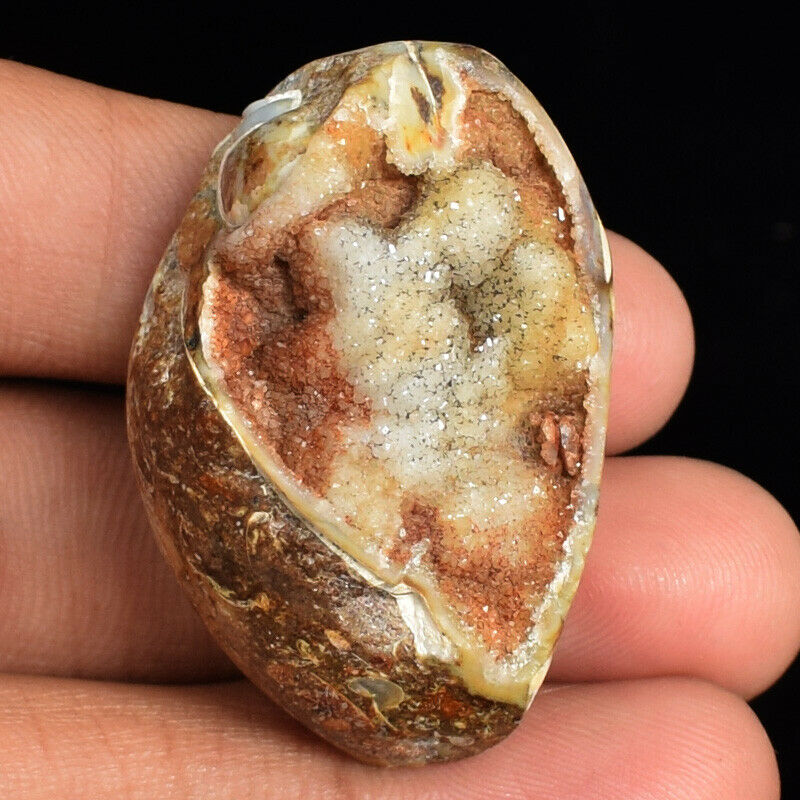 122ct Fossillized Shell Druzy Natural Gastropod Crystallized Fossil Shell Bd1013